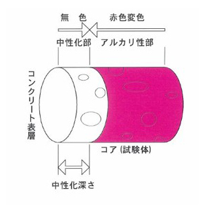 図解「コンクリートの中性化」